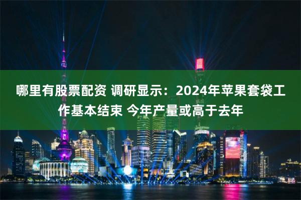 哪里有股票配资 调研显示：2024年苹果套袋工作基本结束 今年产量或高于去年